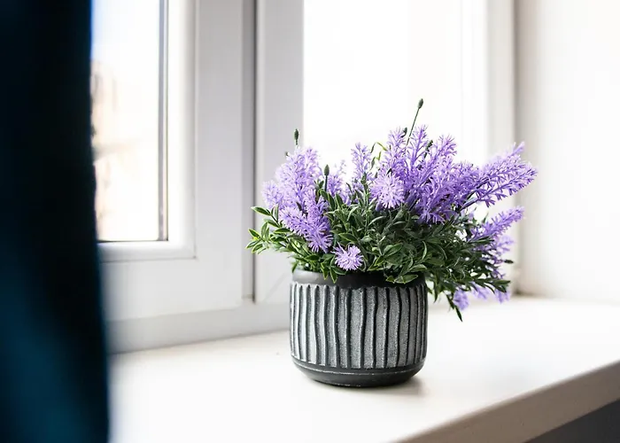 Centrum 1 Struga 46 Lägenhet